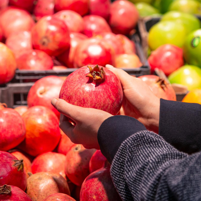 Shop Primary Image Shop Primary Image