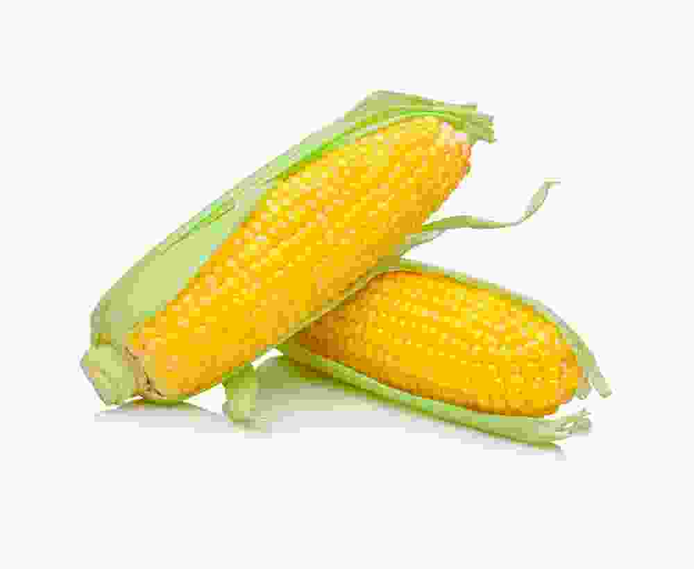 Shop Secondary Image Shop Secondary Image