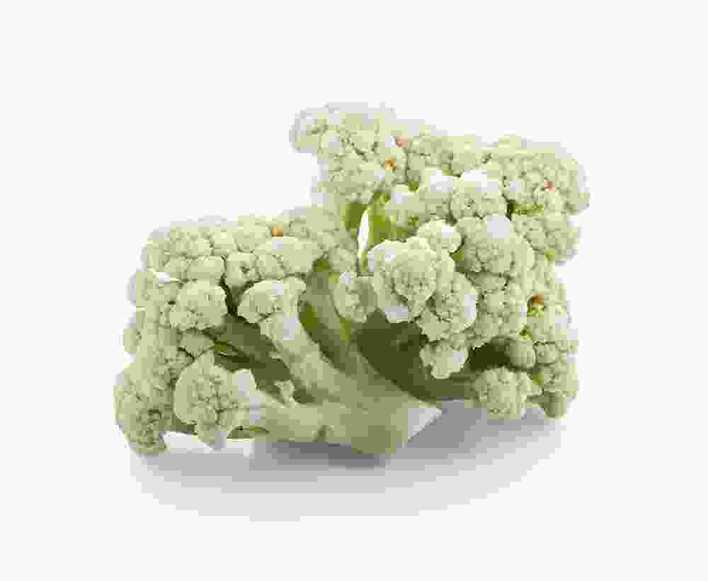 Shop Secondary Image Shop Secondary Image