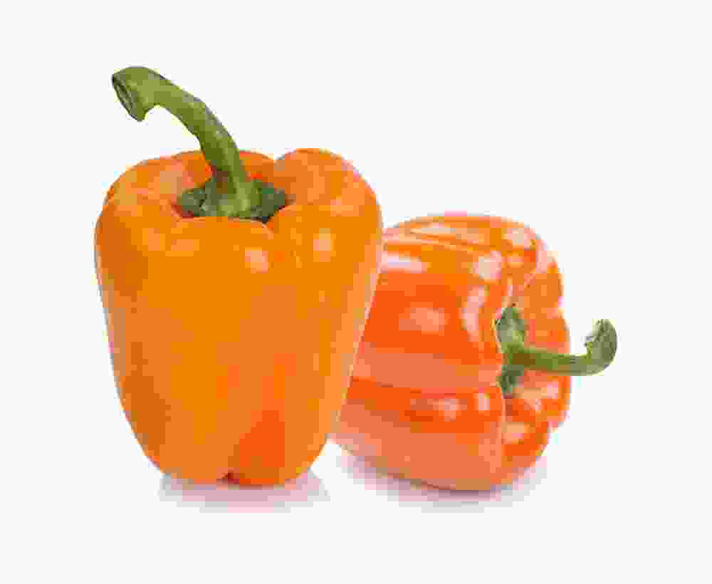 Shop Secondary Image Shop Secondary Image