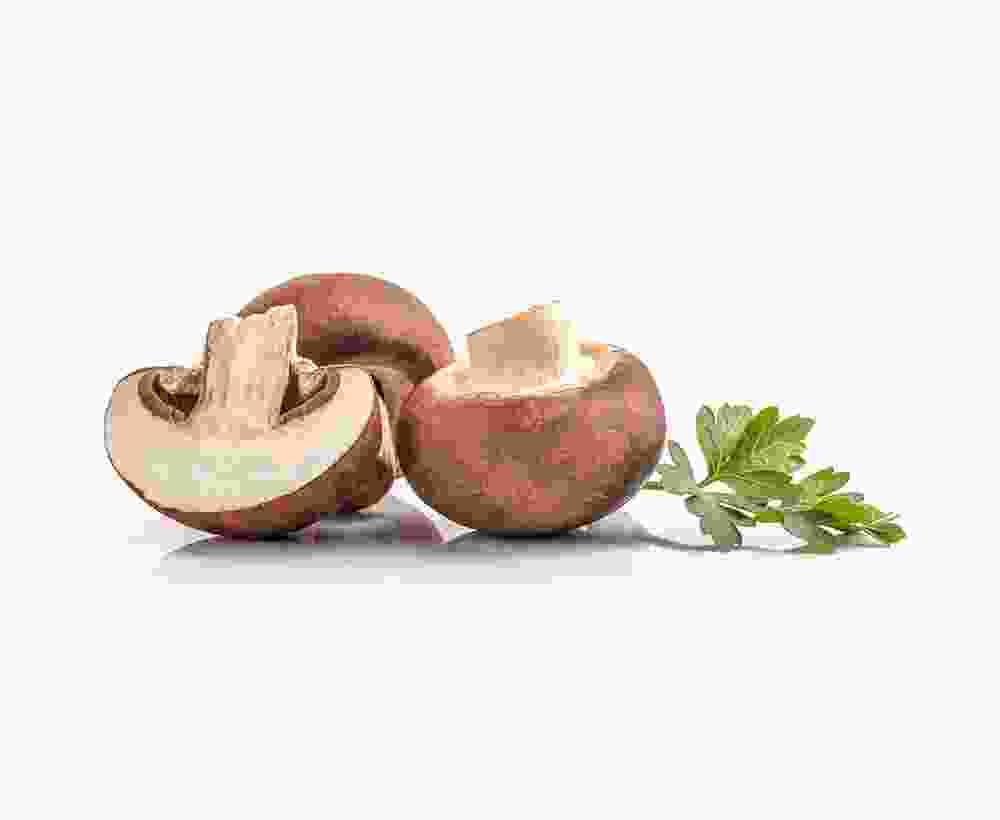 Shop Secondary Image Shop Secondary Image