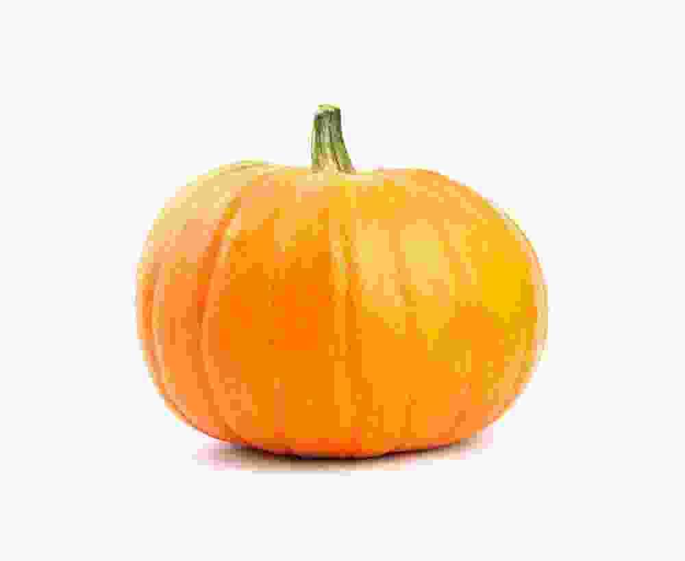 Shop Secondary Image Shop Secondary Image